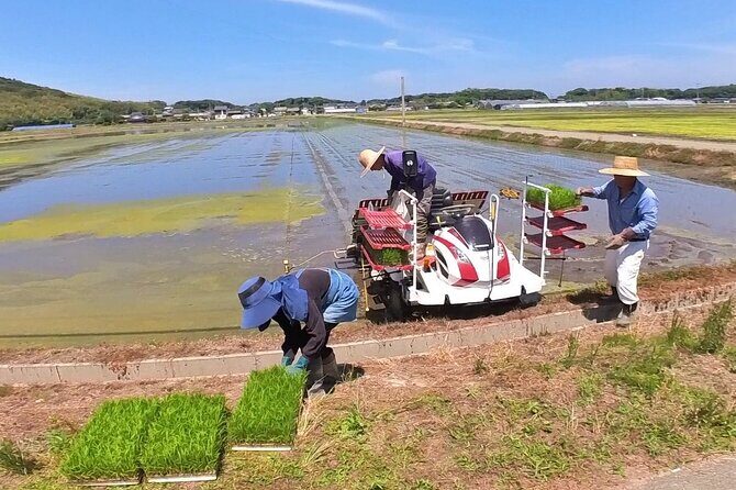 Private Coastline Ebike Tour in Fukuoka - FAQs