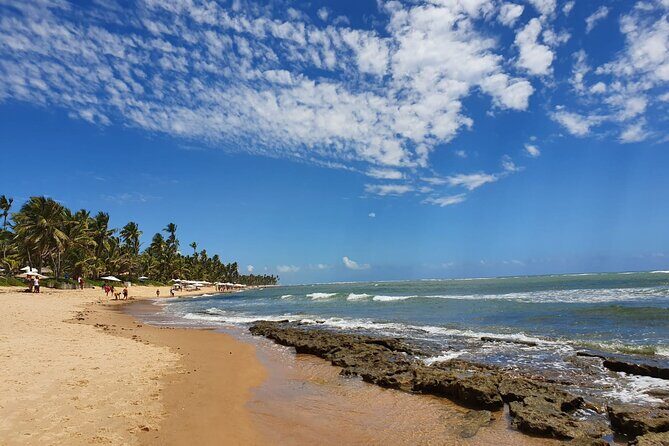 Private Coconut Coast & Praia do Forte Tour - from Salvador - Key Points