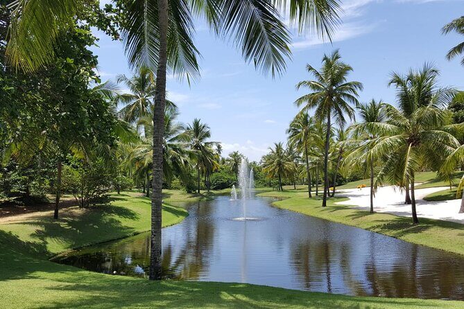 Private Coconut Coast & Praia do Forte Tour - from Salvador - The Sum Up