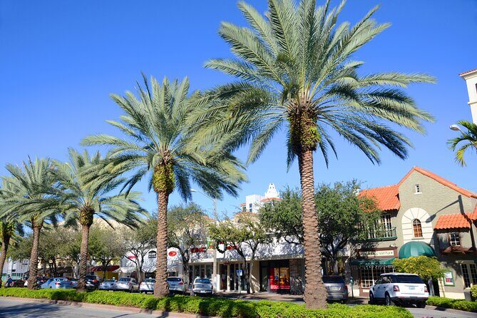 Private Coconut Grove and Coral Gables Tour from Miami - A Deep Dive into the Experience