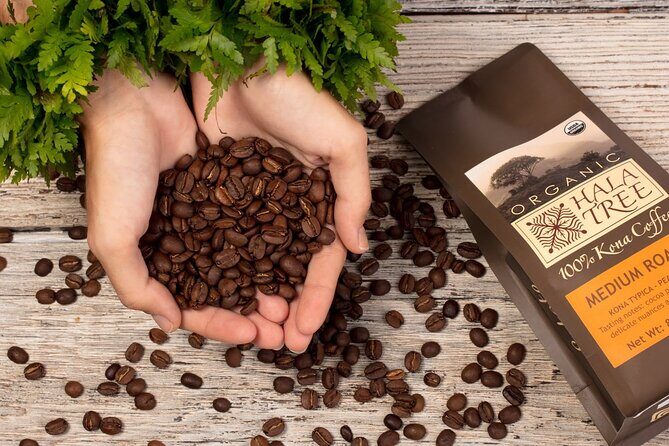 Private Coffee Roasting Class - Quick Overview of the Private Coffee Roasting Class