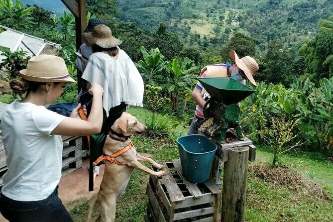 Private Coffee Tour in Jardín Antioquia - A Close Look at the Coffee Journey