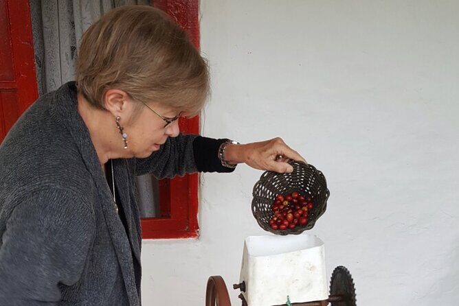 Private coffee tour near Medellín, from bean to cup. - Final Thoughts: Is It Worth It?