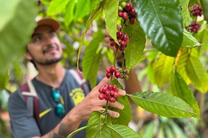 Private Coffee Trail ATV Tour in Samana - Frequently Asked Questions (FAQs)