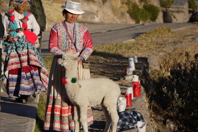 Private Colca Full-Day Tour from Arequipa - A Full Day Exploring Colca Canyon: What to Expect