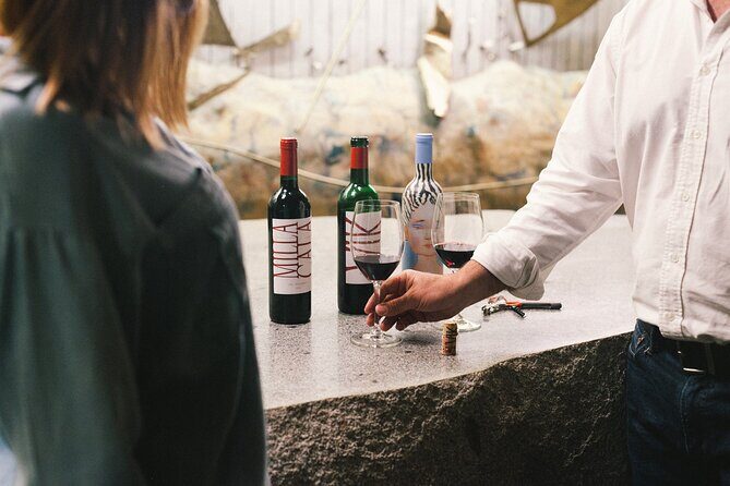 Private Colchagua VIK and Montes Wineries Experience - The Itinerary in Detail: What You Can Expect