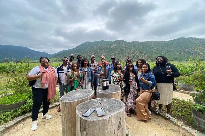 Private Colchagua VIK and Montes Wineries Experience - Final Thoughts