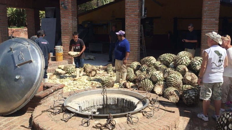 Private Colonial Tour Tequila and the Noria - Discover Mexico’s Charm on the Private Colonial Tour in Sinaloa