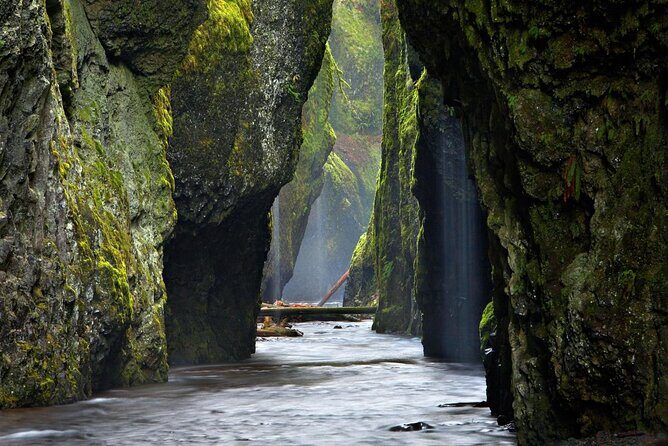 Private Columbia River Gorge Half-Day Tour - Who Will Love This Tour?