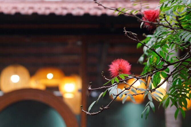 Private Cooking Class in Local Villa with Market Tour - Authentic, Focused, and Fun