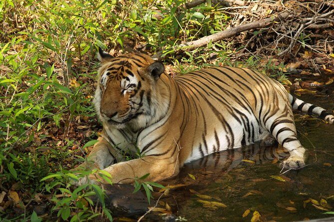 Private Corbett National Park & Nainital Tour from New Delhi - Frequently Asked Questions