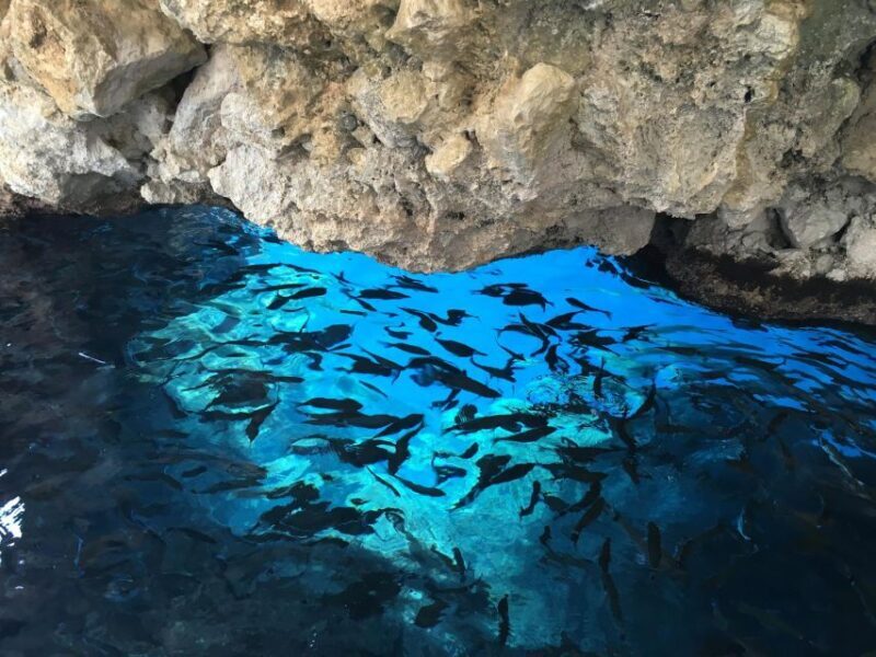 Private Corfu Tour - Paleokastritsa & Glyfada beach - Key Points