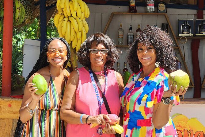 Private Countryside and City Tour in Puerto Plata - An In-Depth Look at the Puerto Plata Private Tour