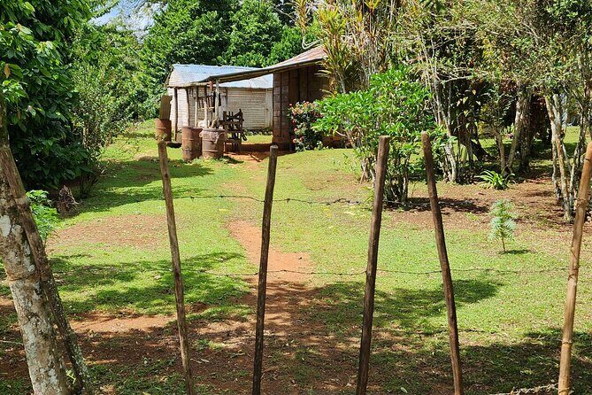 Private Countryside and City Tour in Puerto Plata - The Itinerary: A Well-Structured Journey