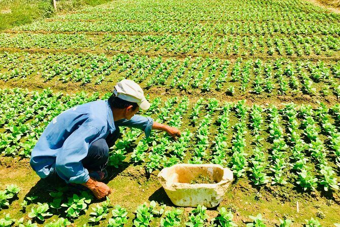 Private Countryside Tour Nha Trang And Visit An Orphanage - Exploring the Detailed Itinerary