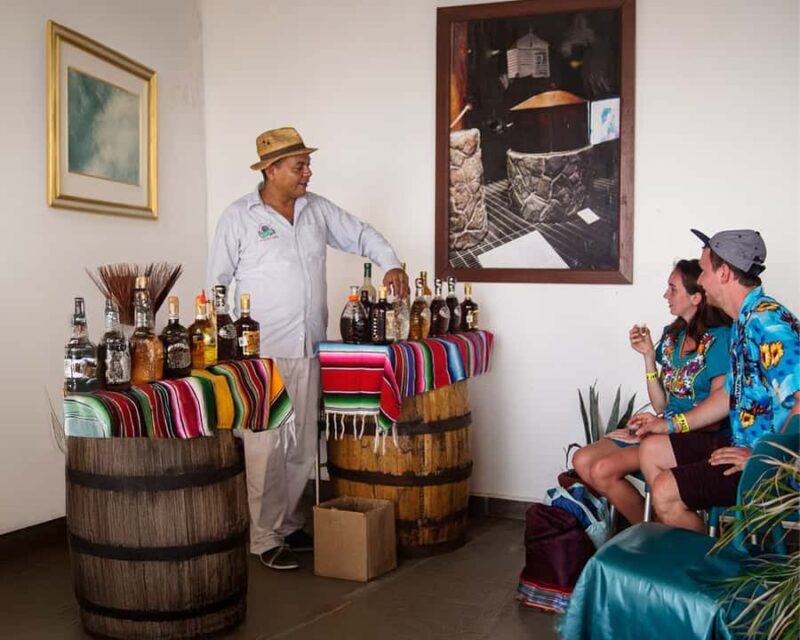 Private Cozumel Caribbean Cantinas Buggy Tour - The Fine Details and What Travelers Say