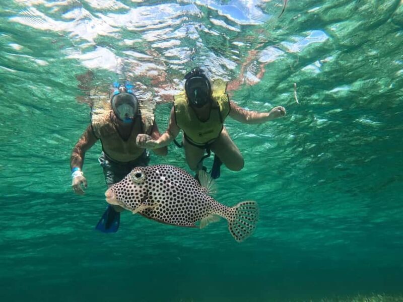 Private Cozumel Jeep and Jade Cavern Cenote Tour - Who Is This Tour Best For?