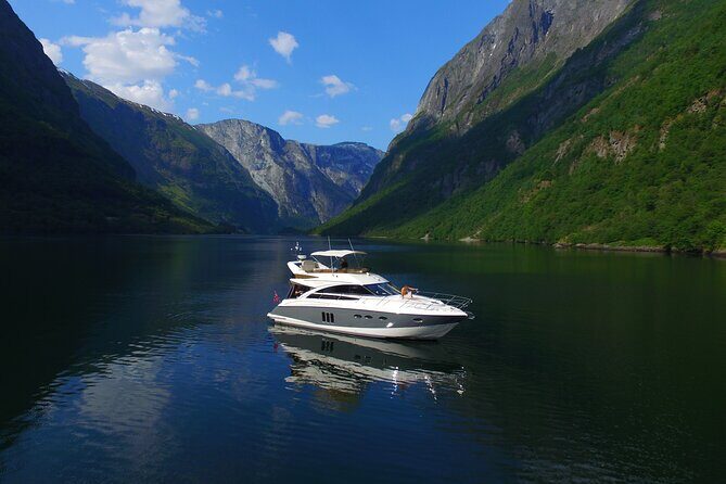 Private Cruise from Bergen to Sognefjord, Flåm and Nærøyfjord - Exploring the Fjord Experience in Detail