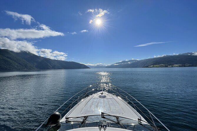 Private Cruise from Bergen to Sognefjord, Flåm and Nærøyfjord - Who Should Consider This Tour?