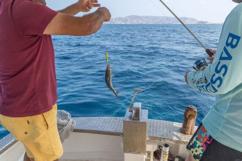 Private Cruise  Half Day Pollonia Polyaigos - An In-Depth Look at the Itinerary