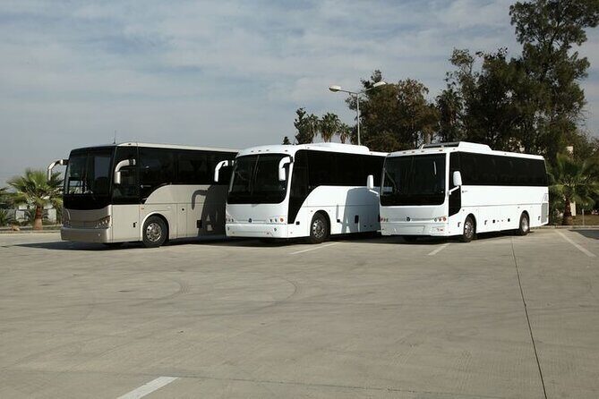 Private Cruise Port Transfer from MIA Airport or Any Miami Hotel - Who Would Benefit Most from This Service?