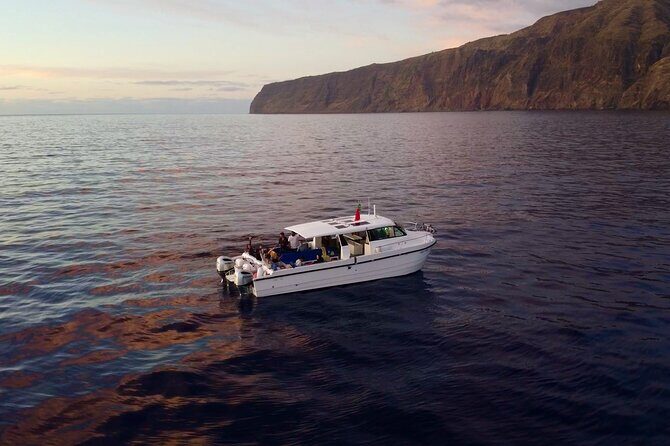 Private Cruise to Calheta and Caniçal Coasts - Key Points