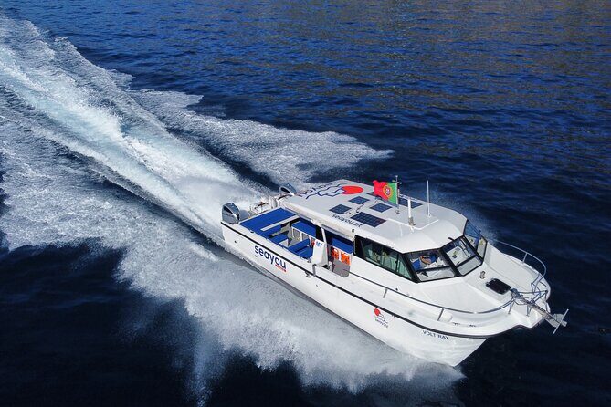 Private Cruise to Calheta and Caniçal Coasts - The Sum Up