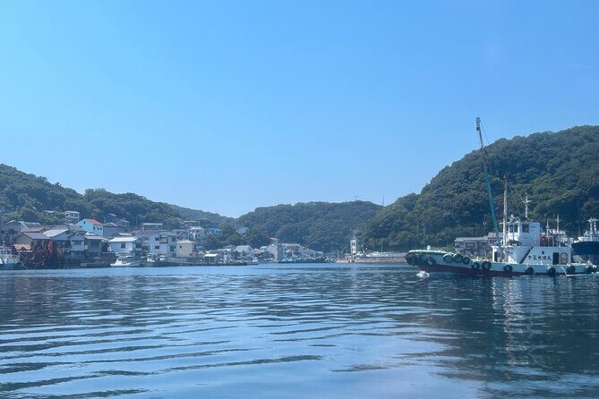 Private Cruise to Ieshima Island with Lunch Included - Final Thoughts