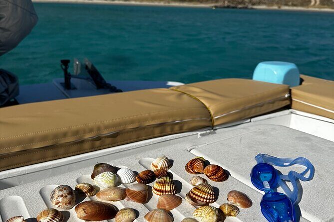 Private Cruise with Handmade Antique Boat around Mykonos-Full Day - Final Thoughts