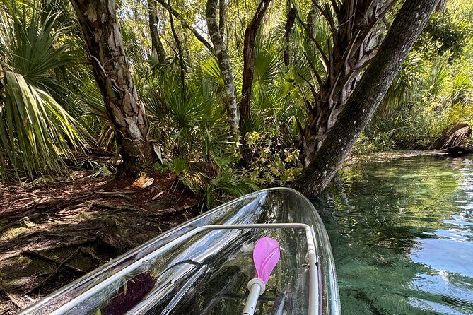 Private Crystal Clear 2 HR Kayak/Paddle Rental on Rainbow River - Private Crystal Clear 2 HR Kayak/Paddle Rental on Rainbow River: An Honest Review