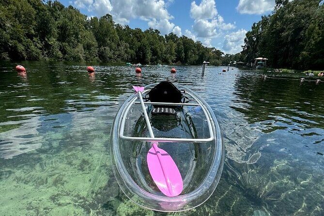 Private Crystal Clear 2 HR Kayak/Paddle Rental on Rainbow River - Practical Details and How to Make the Most of Your Trip