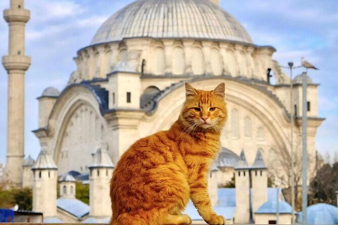 Private Cultural Tour of Istanbul: 1 or 2-Day Tailored Experience - An Authentic, Private Journey Through Istanbul’s Best