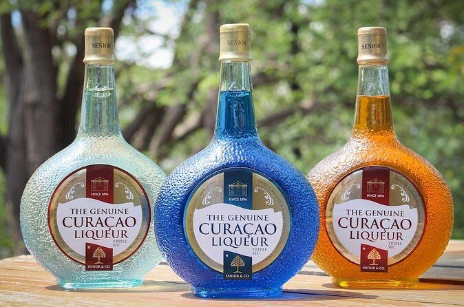 Private Curaçao Heritage Tour A Private Curaçao Journey - Final Thoughts: Is This Tour Right for You?