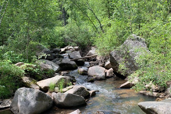 Private Custer State Park Safari and Hiking Tour - Lunch and Relaxation