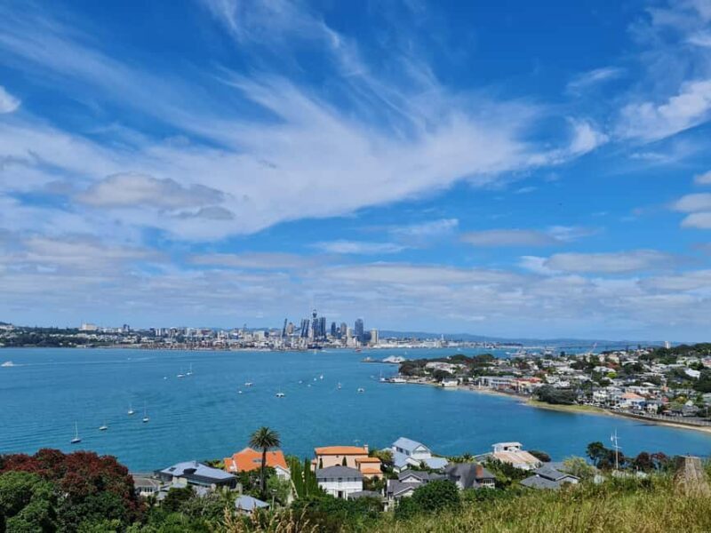 Private Custom: Auckland City Hidden Gem Tour - Exploring Auckland with a Private, Custom Touch