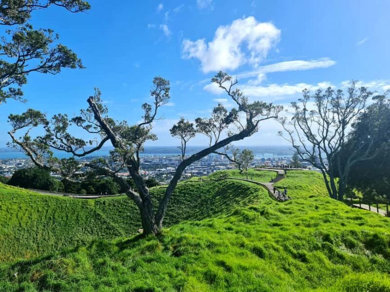 Private Custom: Auckland City Hidden Gem Tour - Who Will Love This Tour?