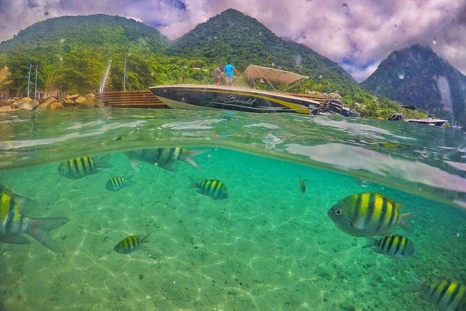 Private Custom Coastal Cruise St. Lucia Half Day - Final Thoughts