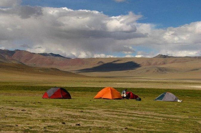 Private Custom Excursion Tour to Likir from Leh with Guide - The Sum Up