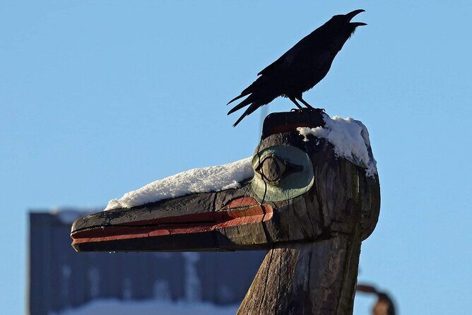 Private Custom Excursion with a Local for up to 14 people - Exploring Ketchikan with a Local: What You Can Expect