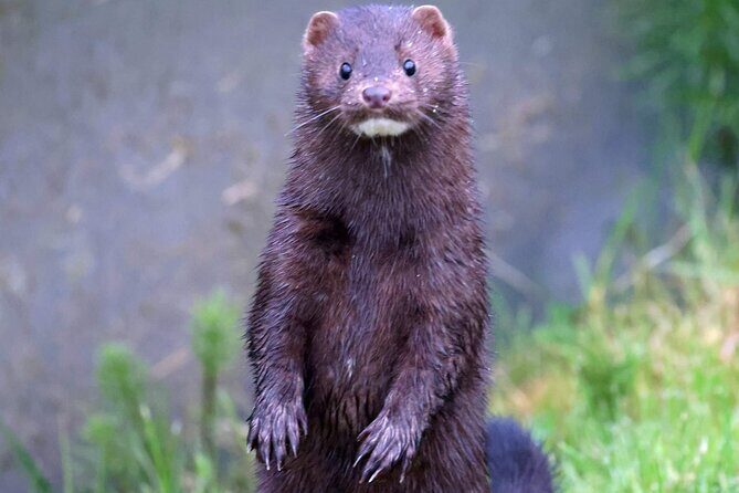 Private Custom Excursion with a Local for up to 14 people - Who Will Love This Tour?