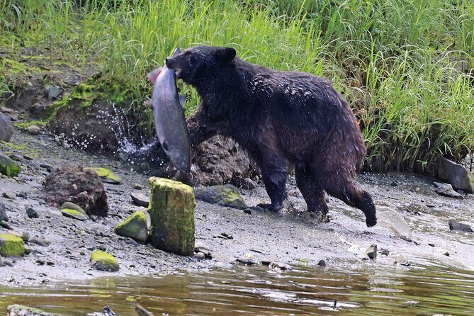 Private Custom Excursion with a Local for up to 14 people - FAQ