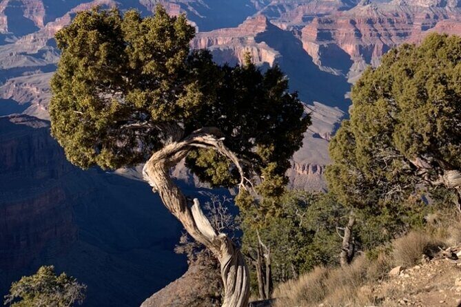 Private Custom Grand Canyon Tours - An In-Depth Look at the Tour