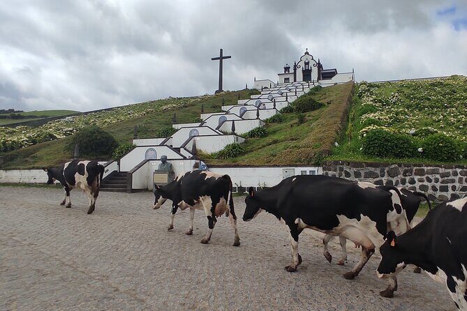 Private Custom Tour in São Miguel Island - A Deep Dive into the São Miguel Private Tour