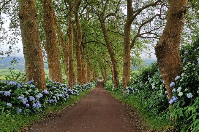 Private Custom Tour in São Miguel Island - Summing Up