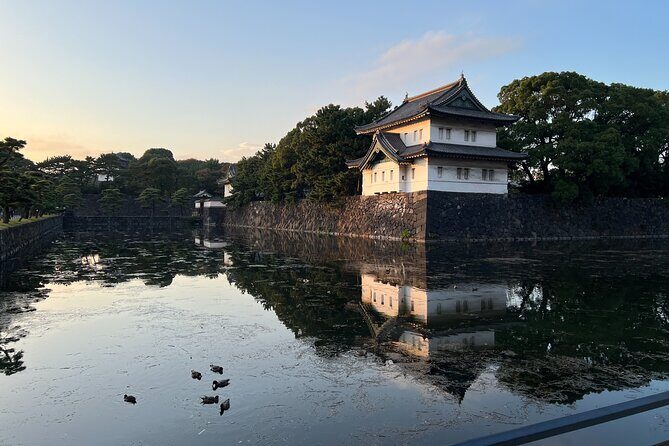 Private Custom Tour in Tokyo with a Bilingual Japanese Guide - Authentic Experiences and Practical Tips