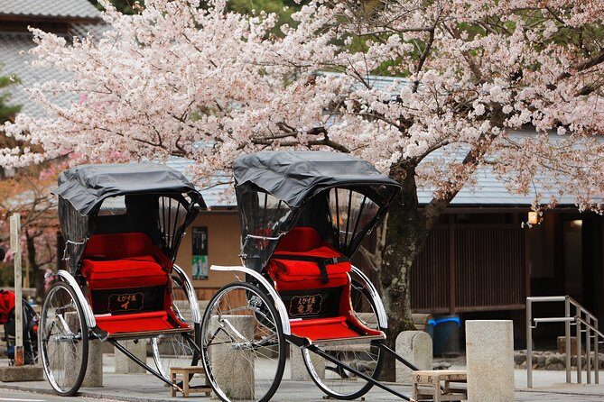 Private Custom Tour: Kyoto in One Day - Explore Kyoto in a Day with a Private Custom Tour