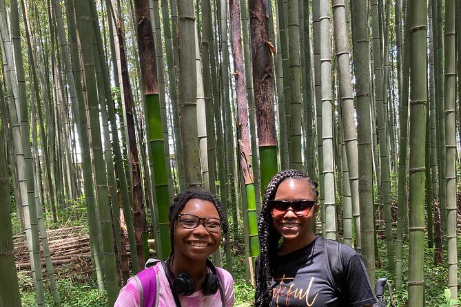 Private Custom Tour: Kyoto in One Day - Final Thoughts: Is This Tour for You?