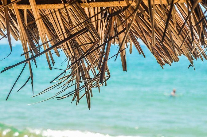 Private Custom Tour of Martinique - Practical Information and FAQs