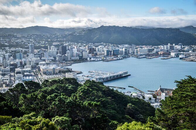 Private custom tour with a local guide Wellington - A Deep Dive Into the Wellington Private Tour