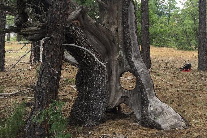 Private Custom Tours in Sedona - Who Will Love This Tour?